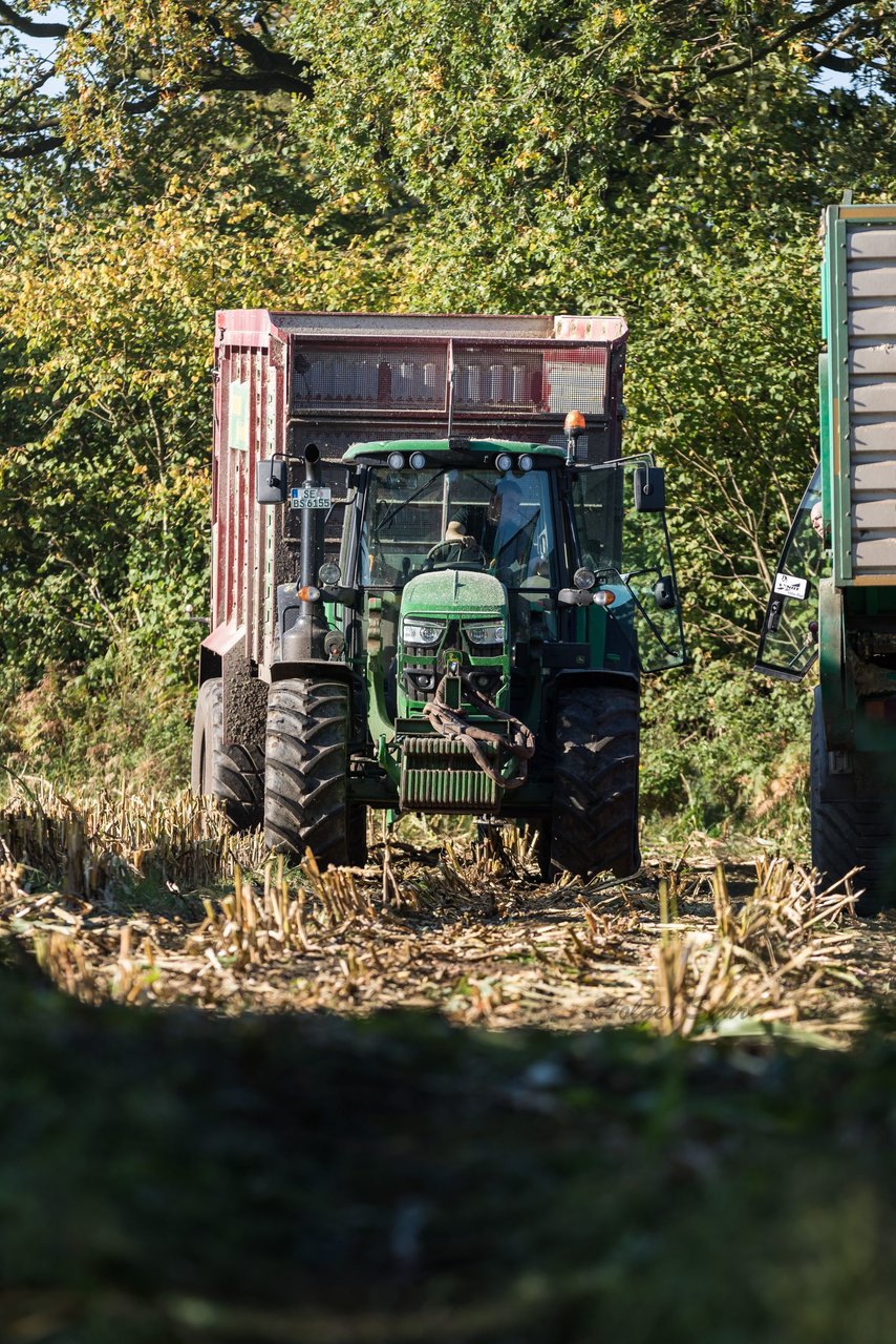 Bild 101 - Maisernte